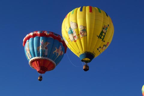 Boynton Critters and Carousel Hot Air Balloon Rides in Michgan